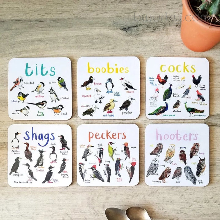 Set Of 6 Bird Pun Coasters