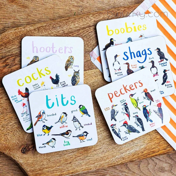 Set Of 6 Bird Pun Coasters Buy 1